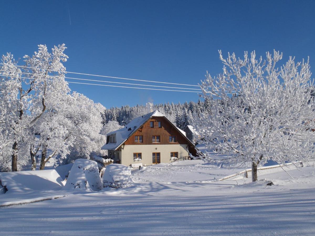 Penzion Sehnoutkovi Bedřichov 외부 사진
